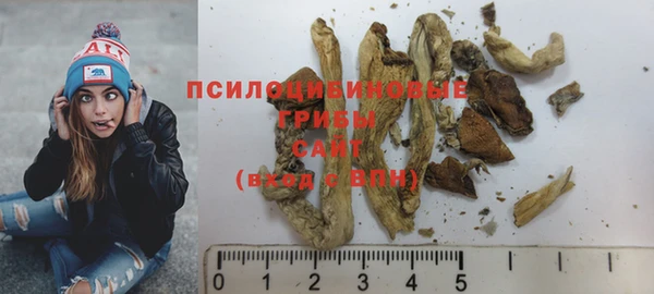 ешки Абаза