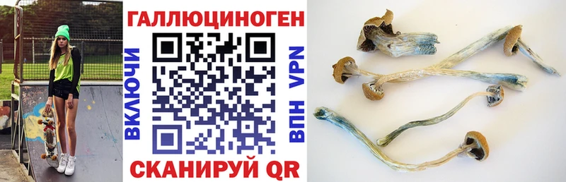 Псилоцибиновые грибы мицелий  где найти наркотики  Раменское 