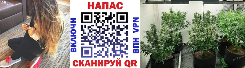 где купить наркоту Раменское Бошки марихуана семена
